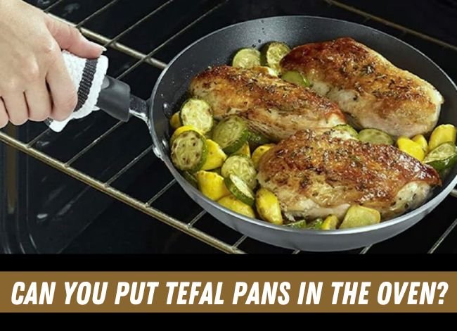 can-you-put-tefal-pans-in-the-oven